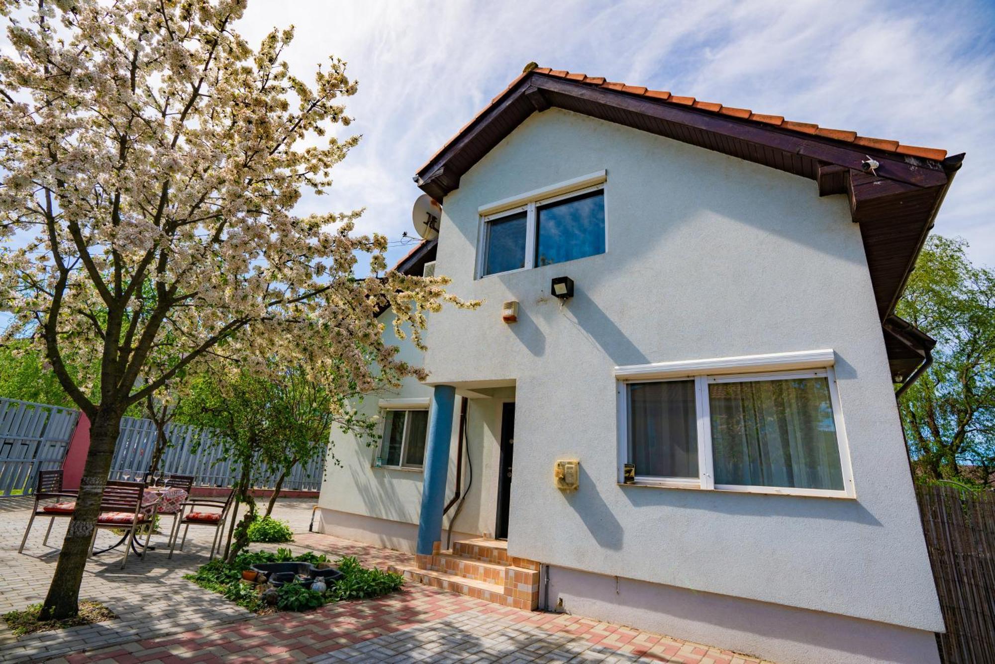 Pitstop Apartments Dumbravita  Ngoại thất bức ảnh