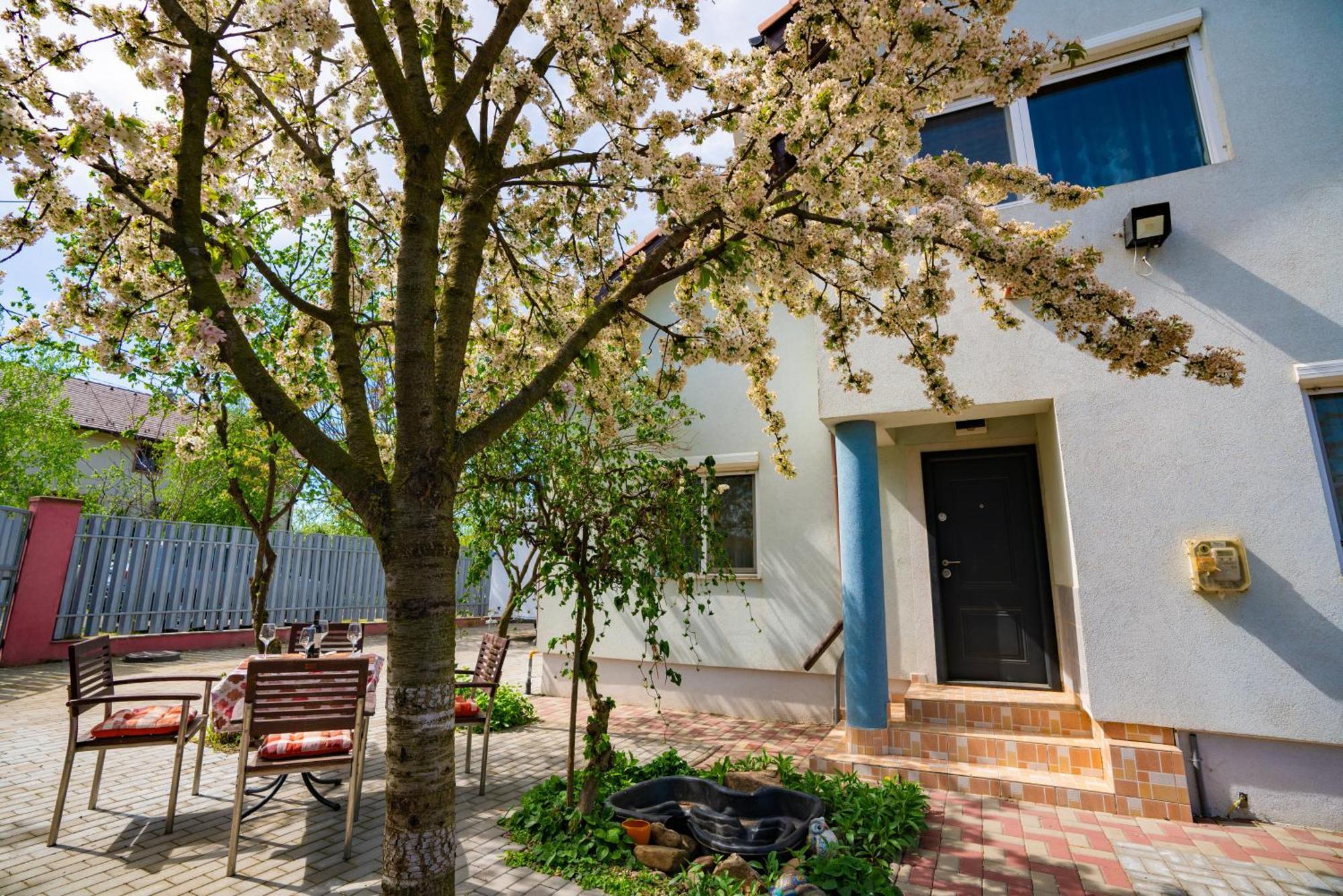 Pitstop Apartments Dumbravita  Ngoại thất bức ảnh