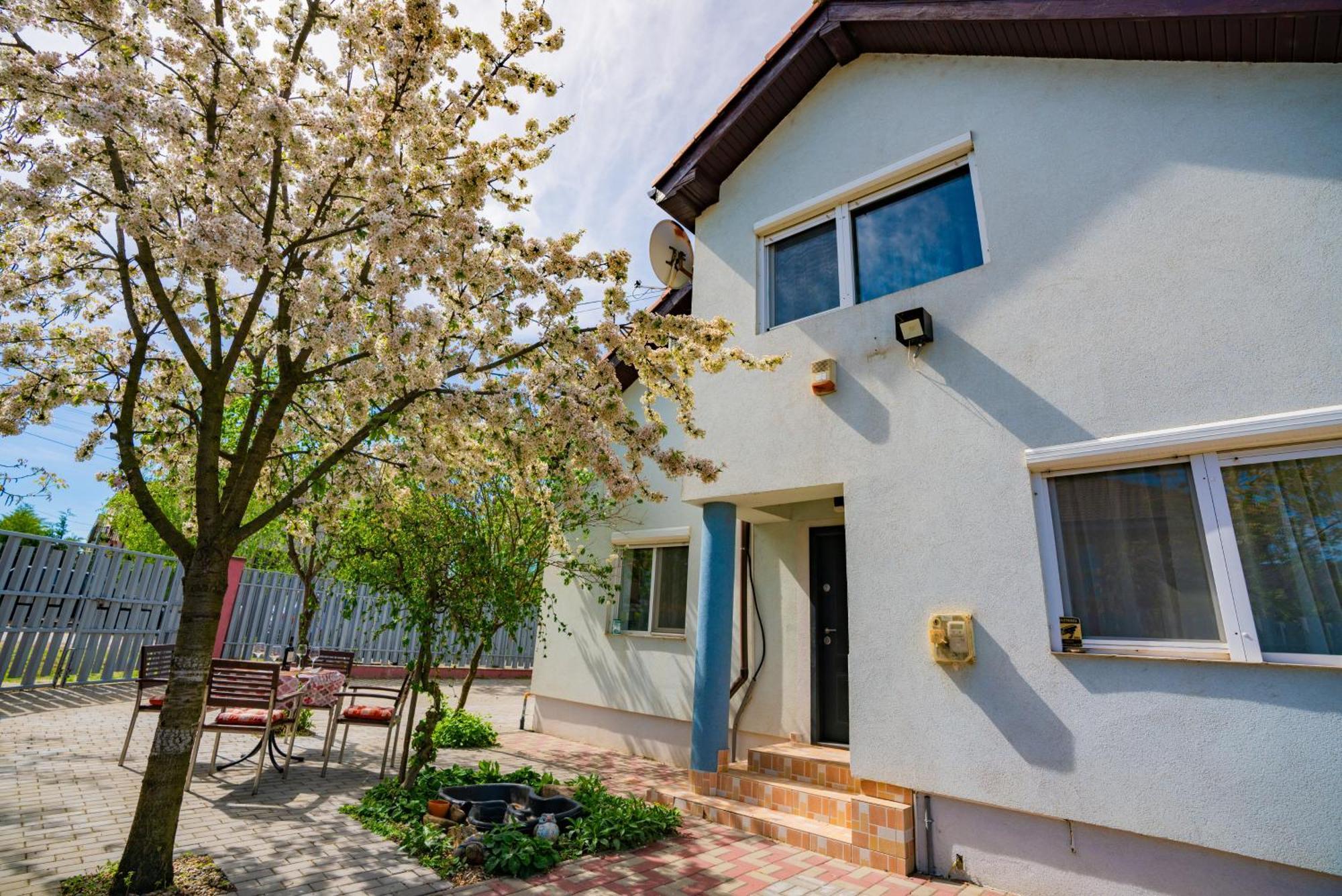 Pitstop Apartments Dumbravita  Ngoại thất bức ảnh